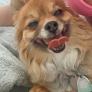 Meet your Posher, Kaitlin